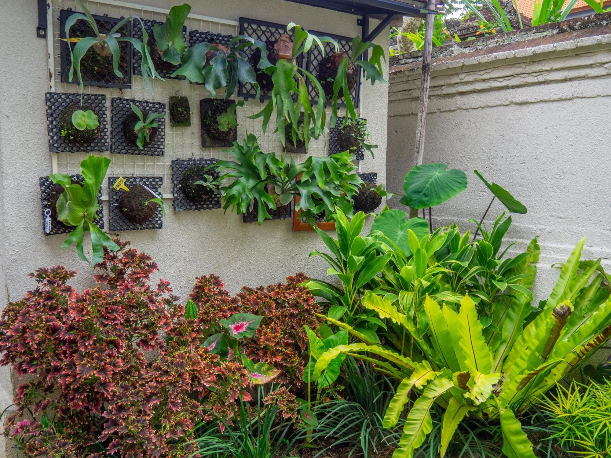 Arumasta Ubud Dış mekan fotoğraf